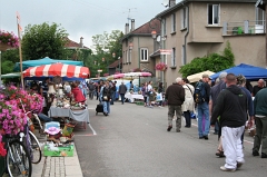 La Grande Fouille 2012 - Rougemont (3)